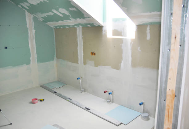 Mango, FL Mold Removal Company