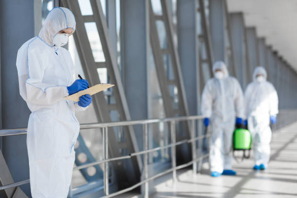 Mold Odor Removal Services in Mango, FL