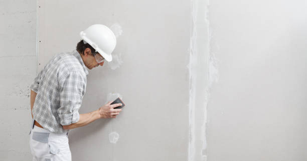 Best Dehumidification Services  in Mango, FL