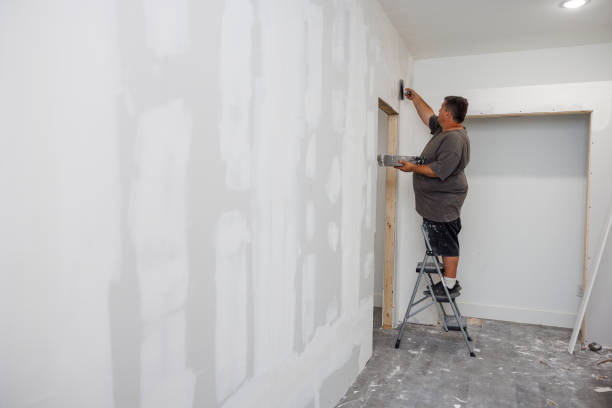 Best Biohazard Mold Removal  in Mango, FL