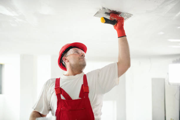 Best Emergency Mold Remediation  in Mango, FL