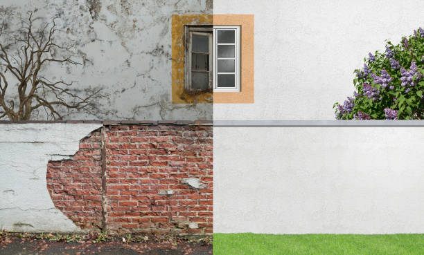 Best Environmental Consulting for Mold Prevention  in Mango, FL