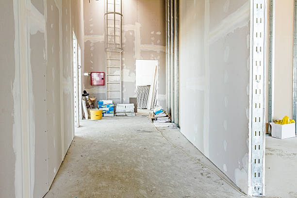 Best Post-Construction Mold Inspection  in Mango, FL