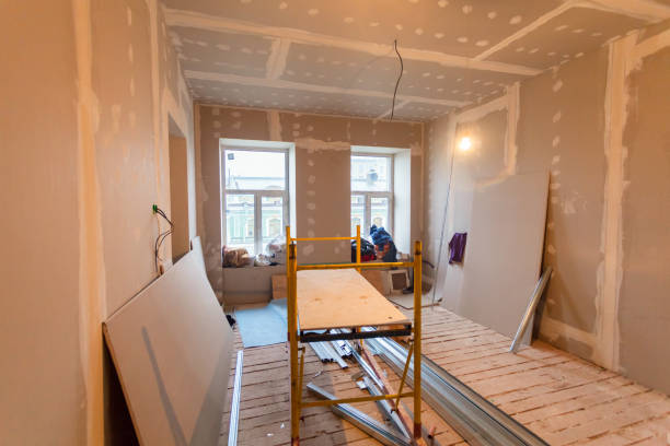  Mango, FL Mold Removal Pros